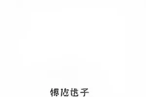 《片场三小时》拍摄手记封面